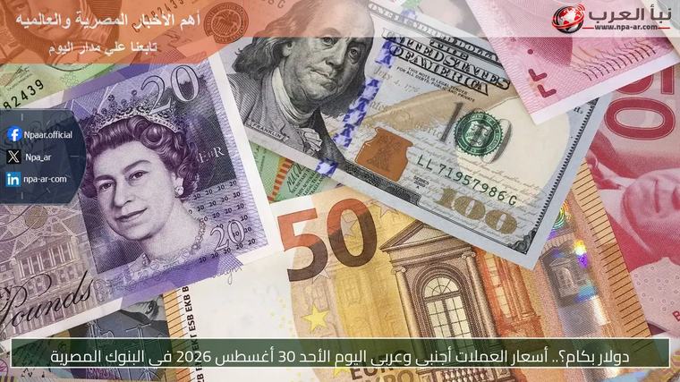 دولار بكام؟.. أسعار العملات أجنبي وعربي اليوم الأحد 30 أغسطس 2026 في البنوك المصرية