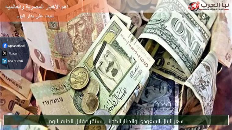 سعر الريال السعودي والدينار الكويتي يستقر مقابل الجنيه اليوم