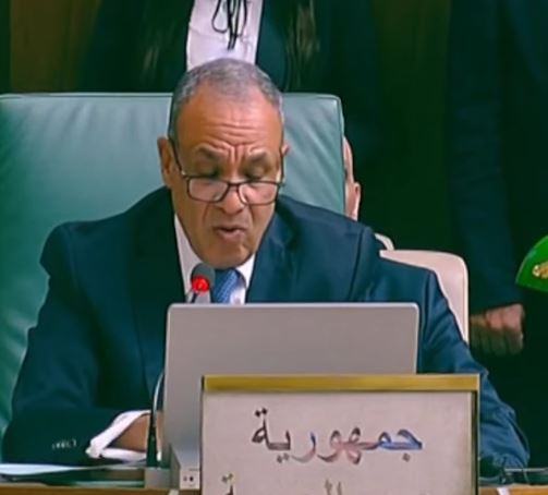 وزير الخارجية يجدد الدعوة لإنشاء قوة عربية مشتركة: الخطر يحدق بنا جميعا