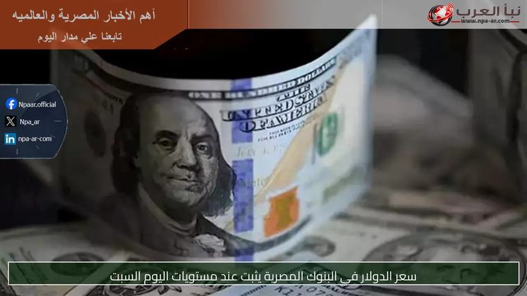 سعر الدولار في البنوك المصرية يثبت عند مستويات اليوم السبت