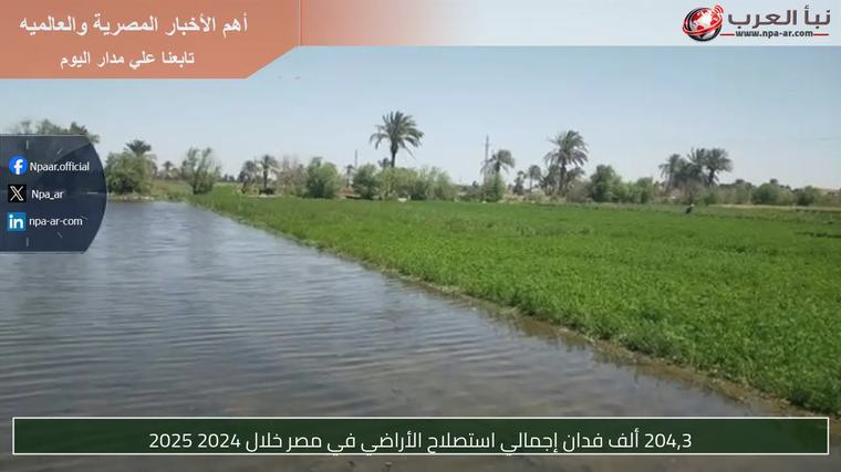 204,3 ألف فدان إجمالي استصلاح الأراضي في مصر خلال 2024 2025