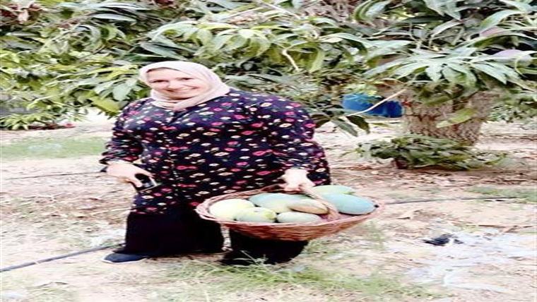 «حفيدة عرابي»: التحق بالأزهر الشريف ثم الجيش حتى تولى قيادته في «وزارة البارودي»